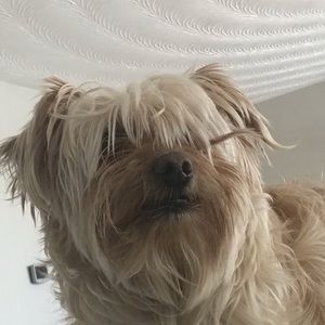 Meet your Posher, Adrianna